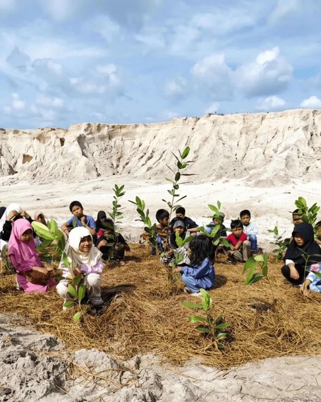 Restorasi Lahan Rusak dan Kritis