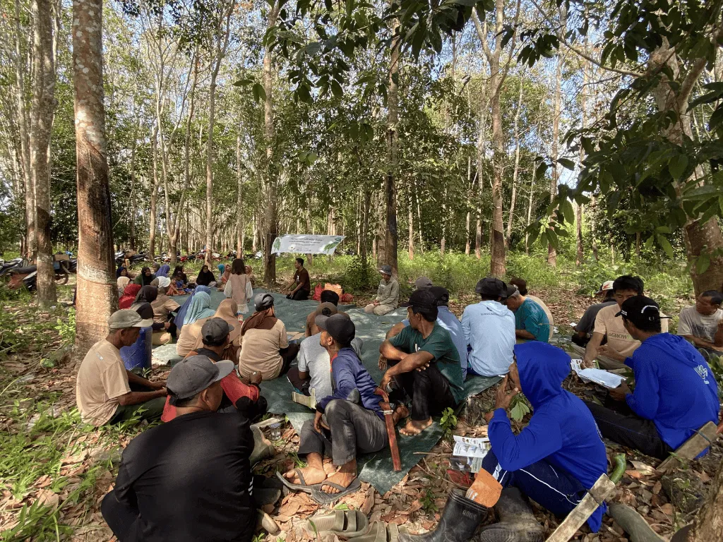 Sekolah Lapangan Petani
